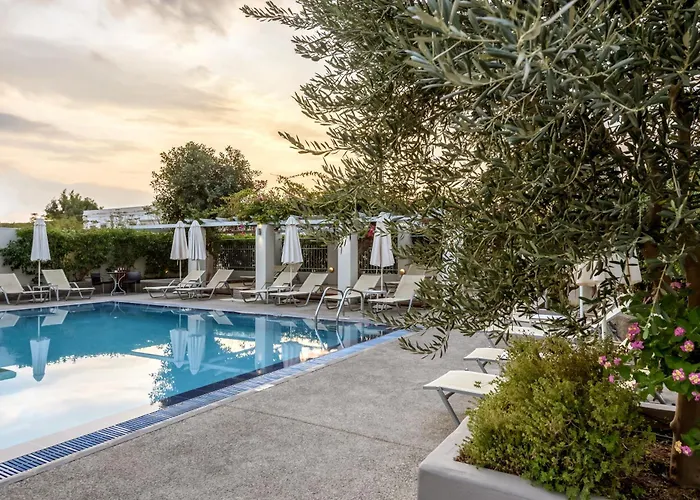 尼斯卡美酒店 4*